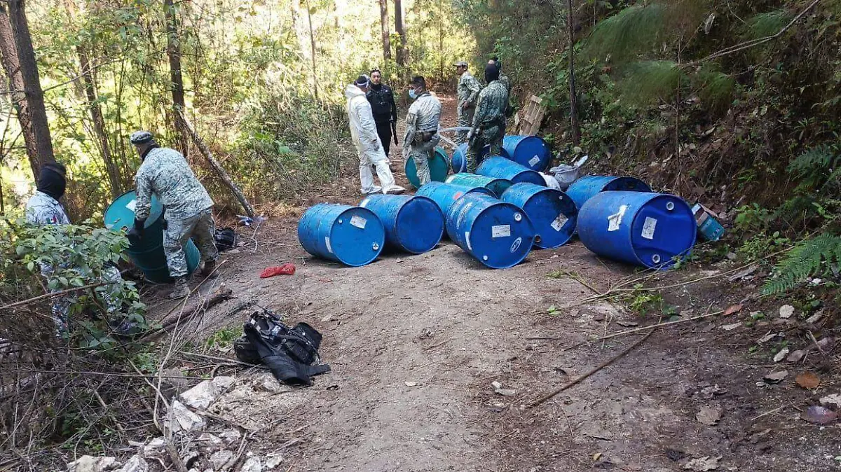 WhatsApp Image 2026-01-27 at 08.37.39