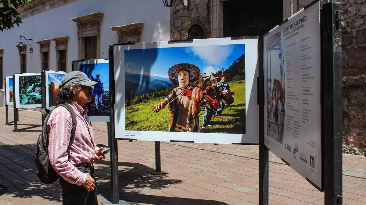 Hombre observando exposición al aire libre