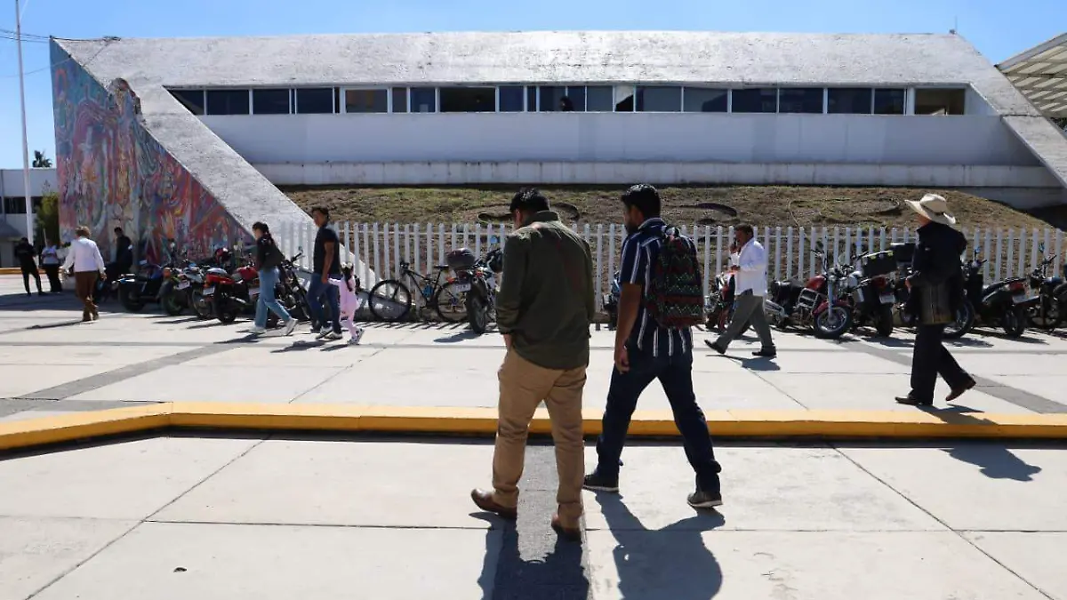 WhatsApp Image 2026-01-28 at 13.30.05