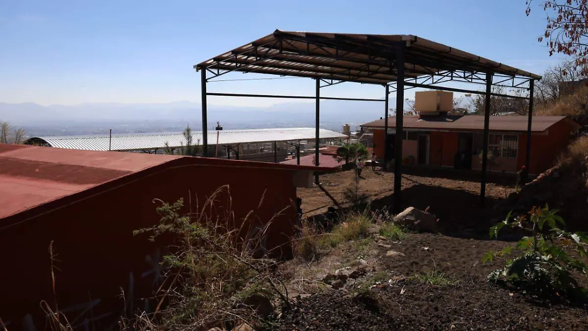 WhatsApp Image 2026-01-28 at 11.37.15 PM