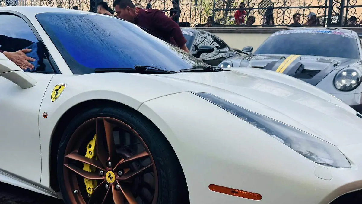 WhatsApp Image 2026-01-29 at 12.19.18