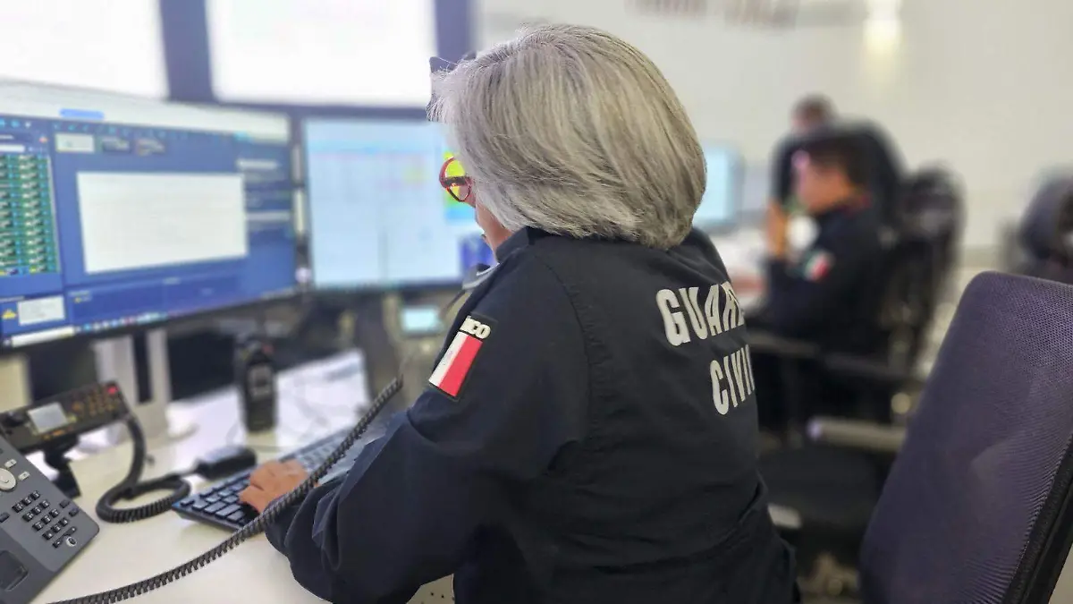 WhatsApp Image 2026-01-29 at 14.04.00