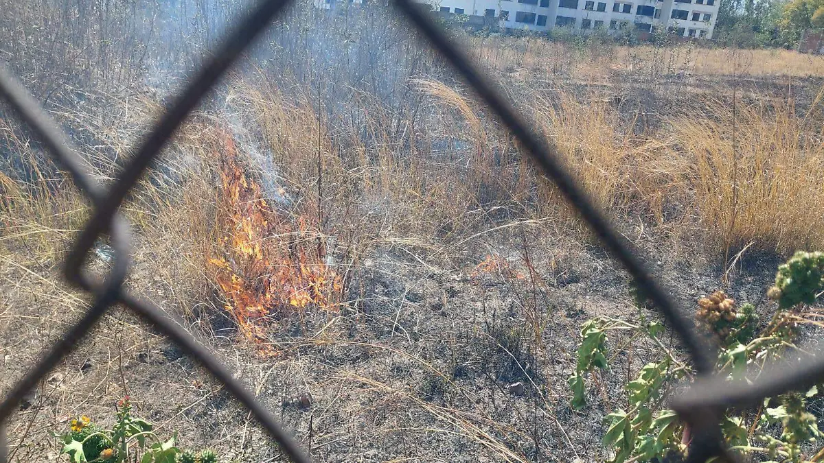 WhatsApp Image 2026-01-30 at 1.28.17 AM