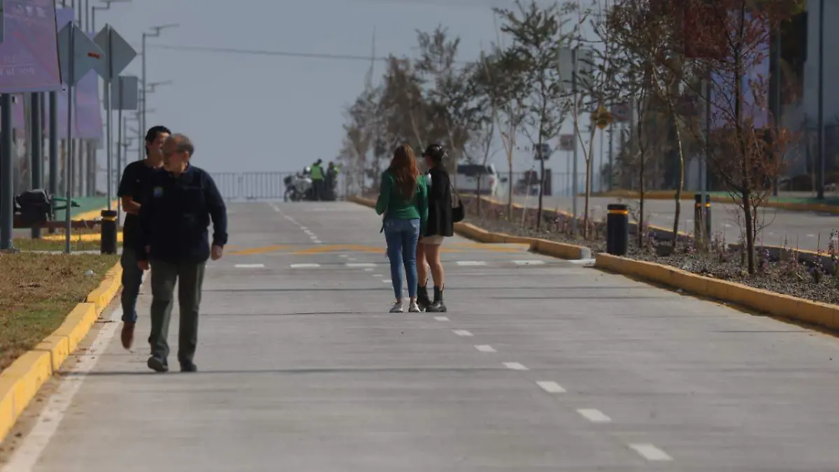 WhatsApp Image 2026-01-31 at 12.12.57