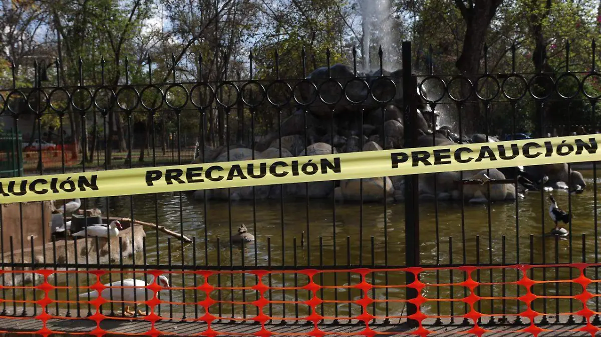 Pila de Los Patos (4)
