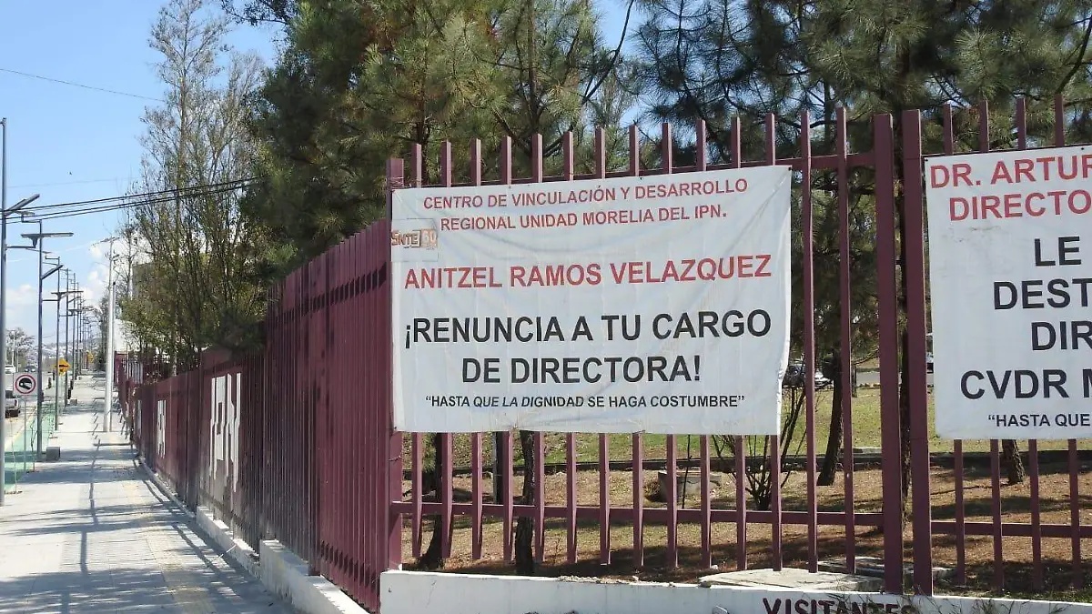 WhatsApp Image 2026-02-03 at 14.23.39