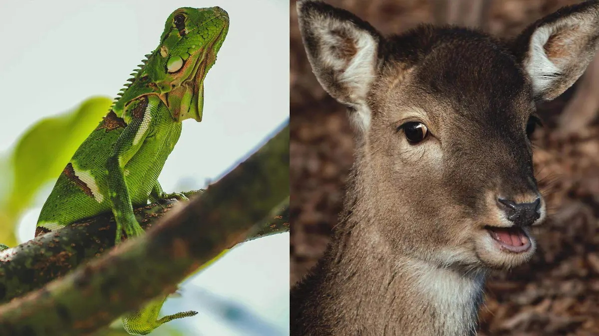 WhatsApp Image 2026-02-04 at 13.51.26