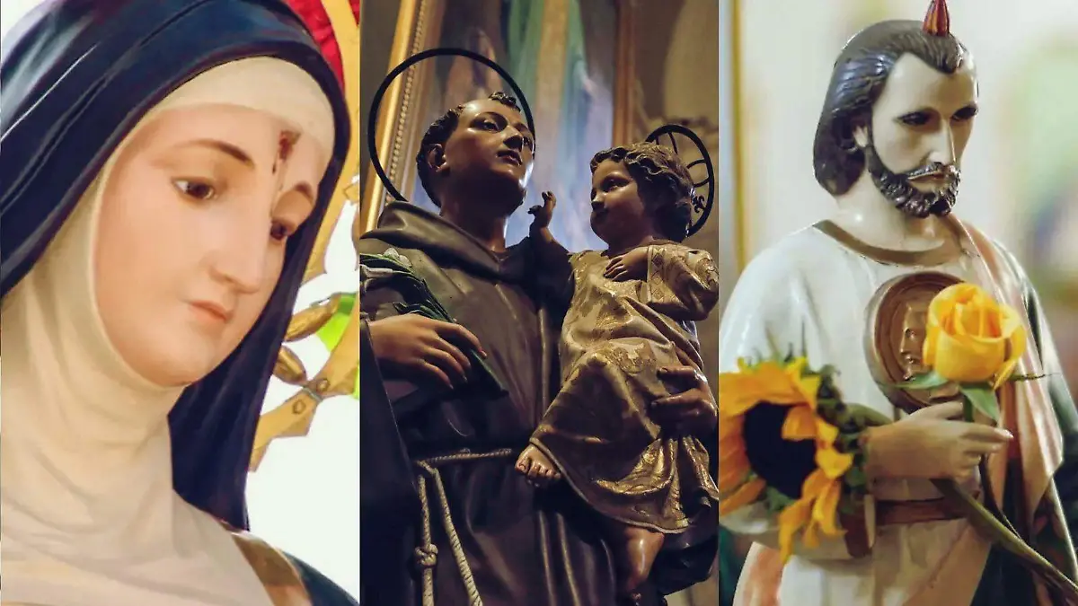 WhatsApp Image 2026-02-06 at 12.51.17