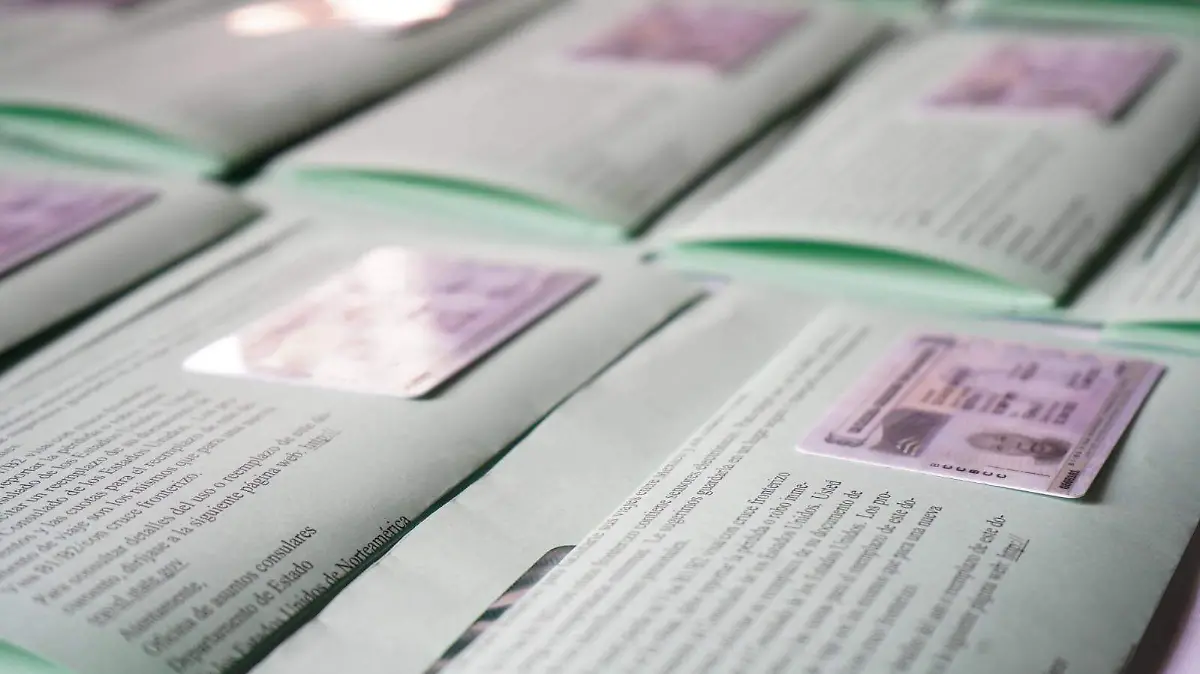 WhatsApp Image 2026-02-06 at 14.18.18