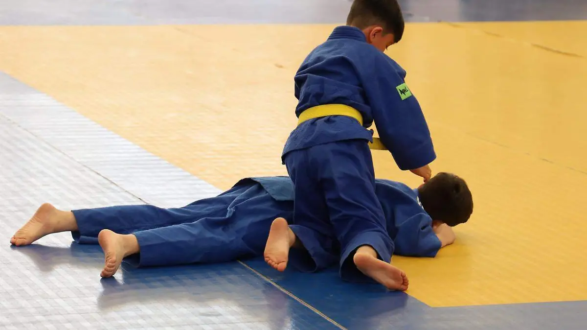 Torneo de judo (3)