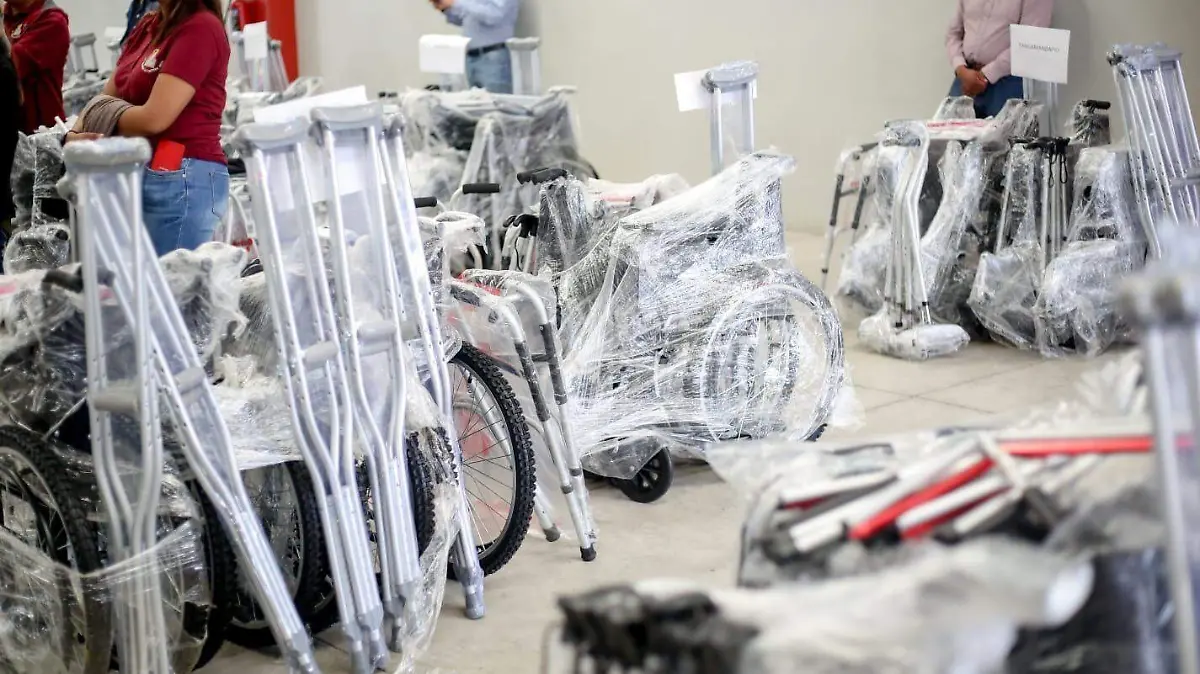 WhatsApp Image 2026-02-10 at 08.41.05