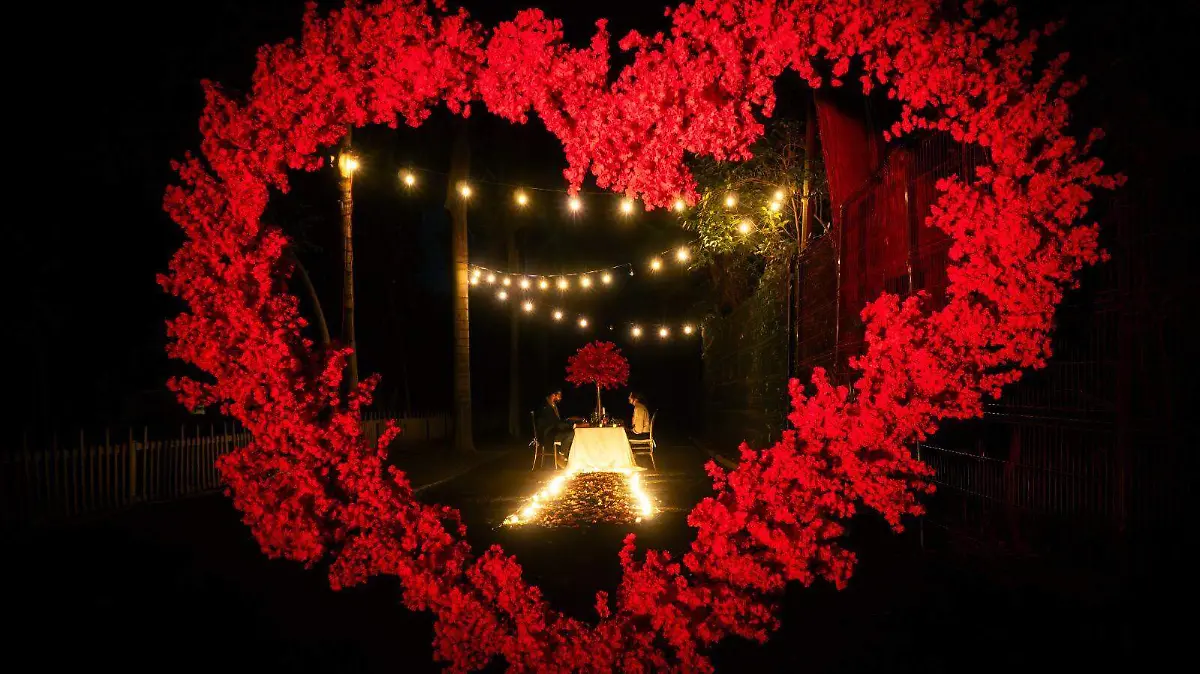 WhatsApp Image 2026-02-10 at 12.17.03