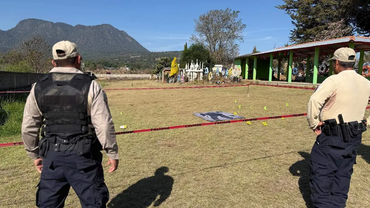 WhatsApp Image 2026-02-10 at 14.47.49