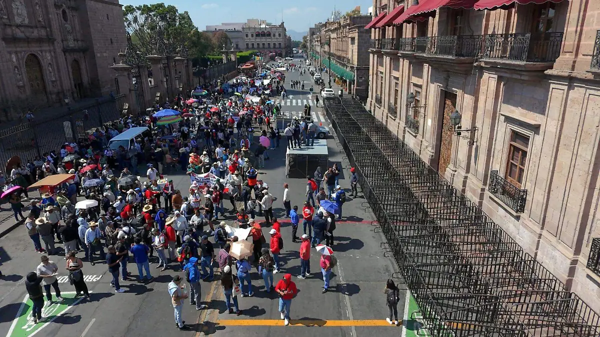 WhatsApp Image 2026-02-12 at 13.11.54