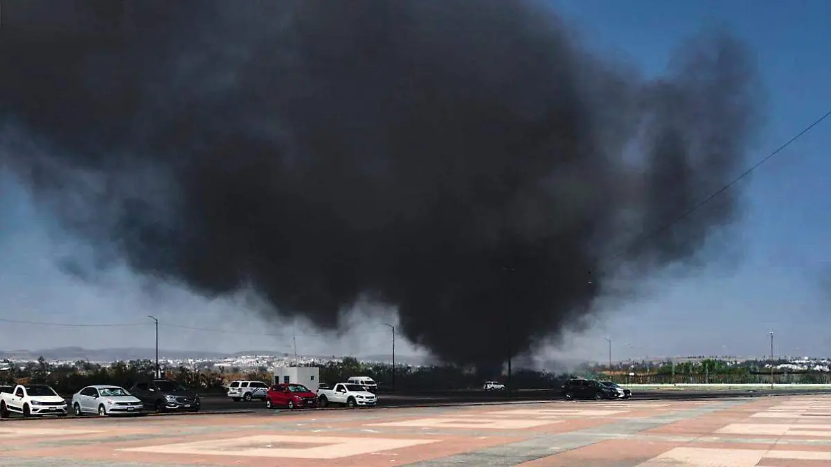 WhatsApp Image 2026-02-12 at 17.29.59