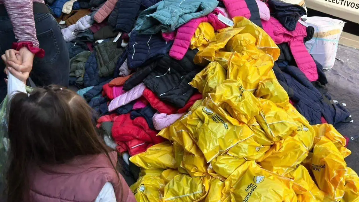 Bolsas Mercado Libre