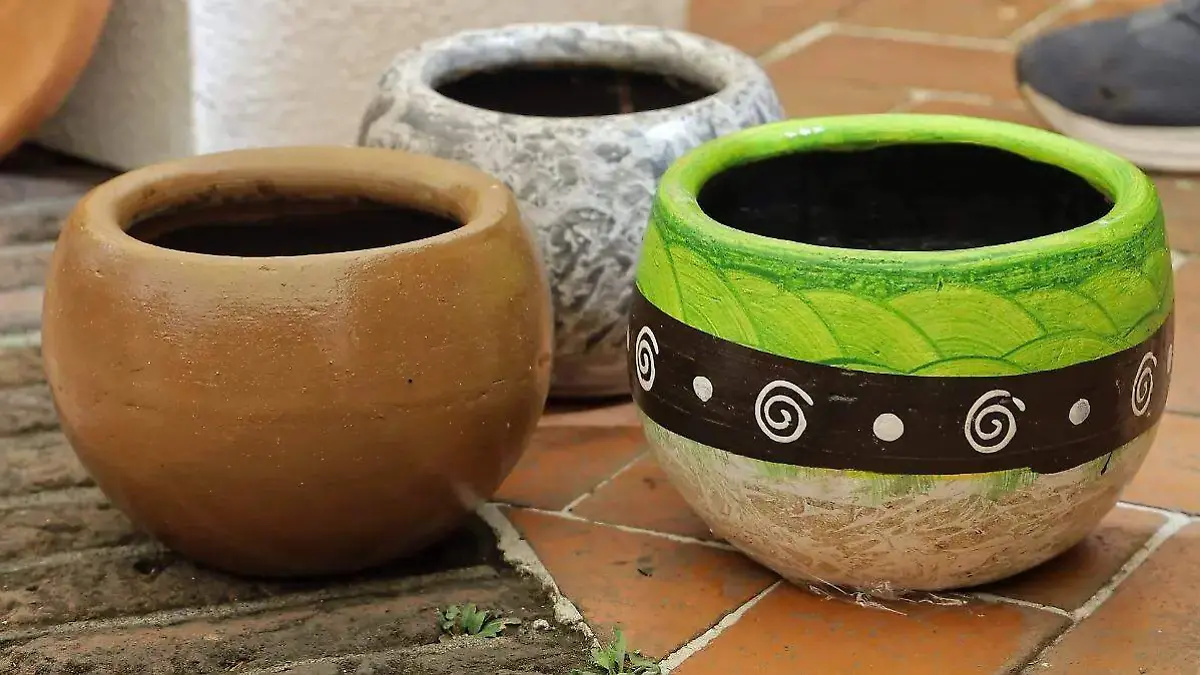 WhatsApp Image 2026-02-17 at 13.07.39 (1)