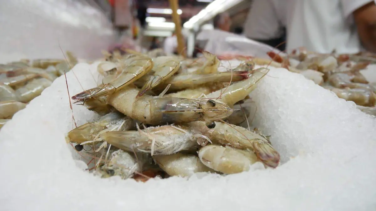 WhatsApp Image 2026-02-18 at 10.44.43