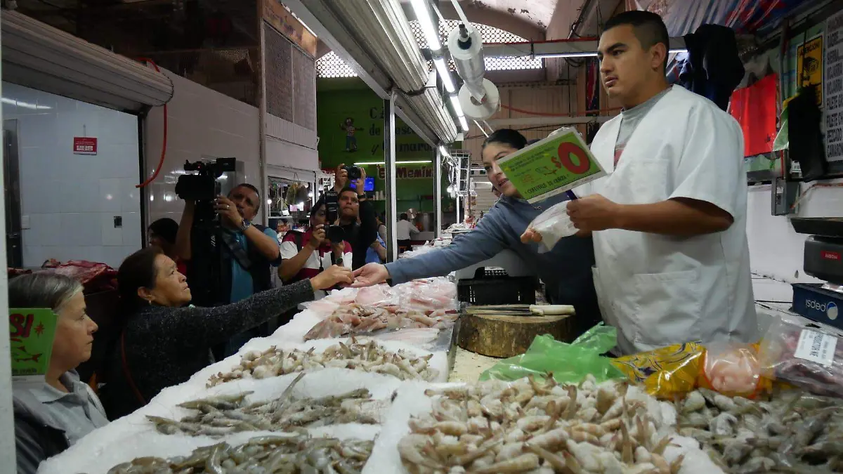 WhatsApp Image 2026-02-18 at 10.44.34 (1)