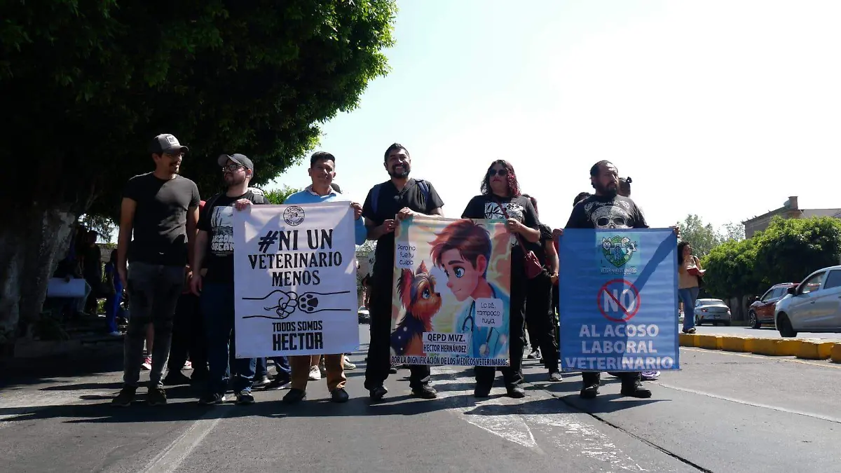 WhatsApp Image 2026-02-18 at 11.55.59