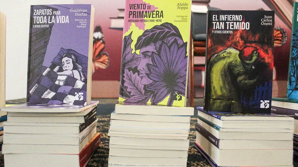 WhatsApp Image 2026-02-20 at 18.17.36