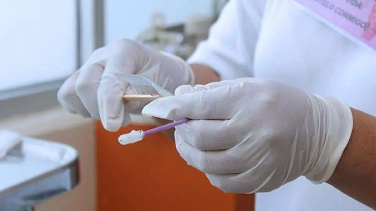 WhatsApp Image 2026-02-24 at 14.51.57