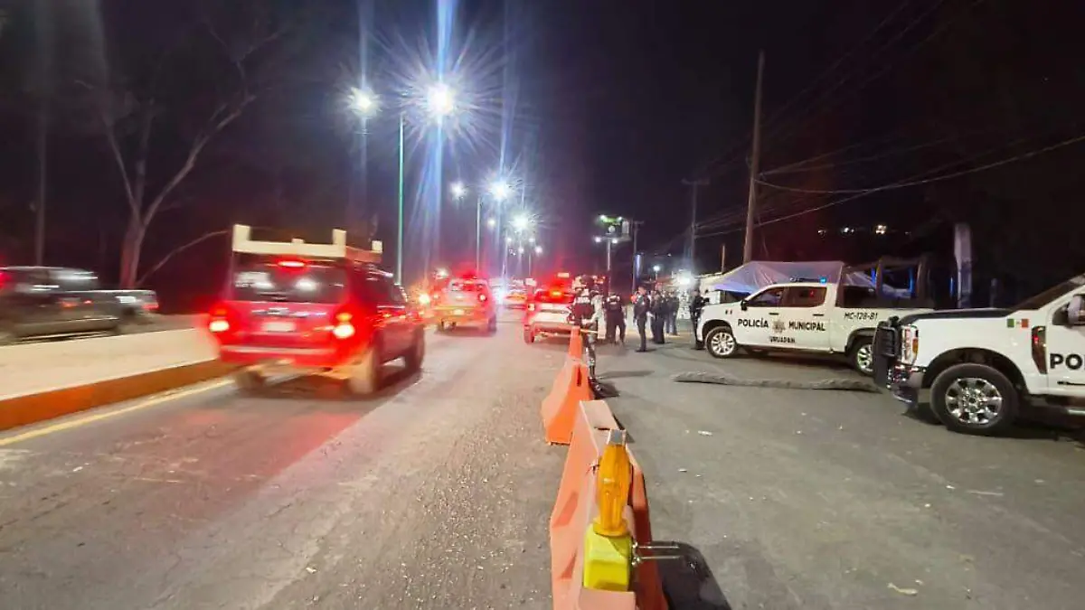 WhatsApp Image 2026-02-25 at 15.03.46