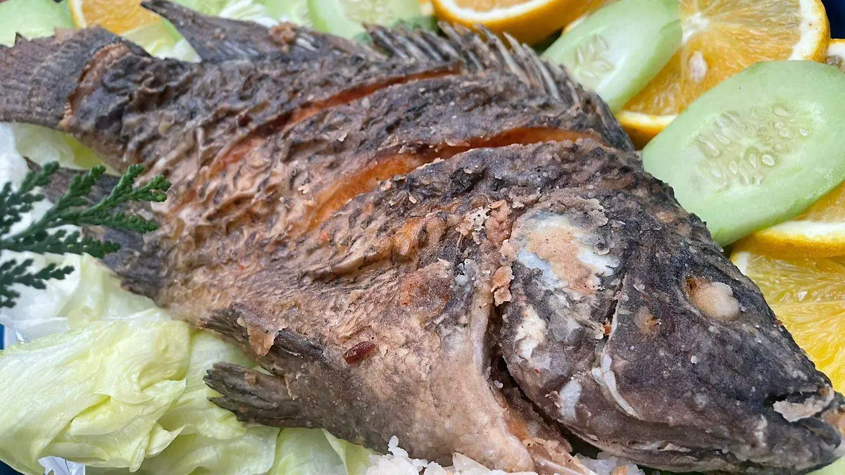 WhatsApp Image 2026-02-25 at 16.27.47