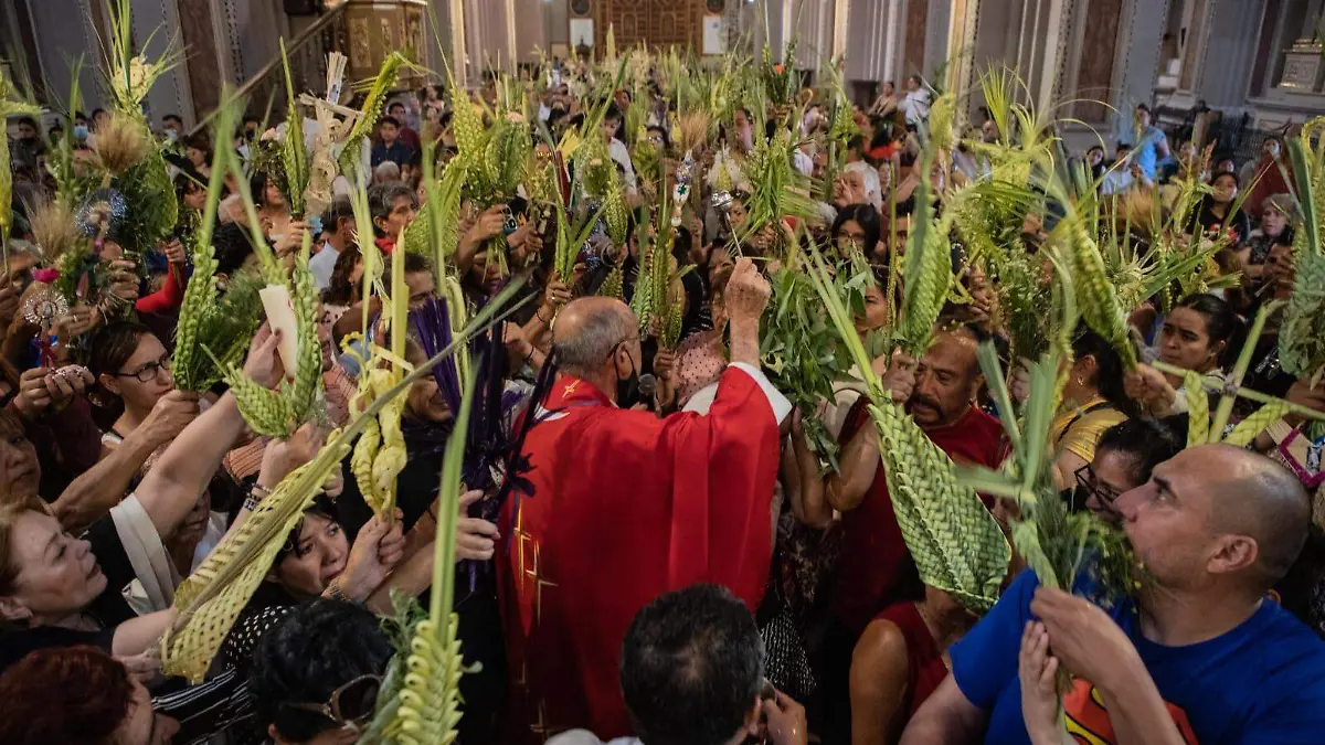 WhatsApp Image 2026-02-26 at 13.20.43 (2)