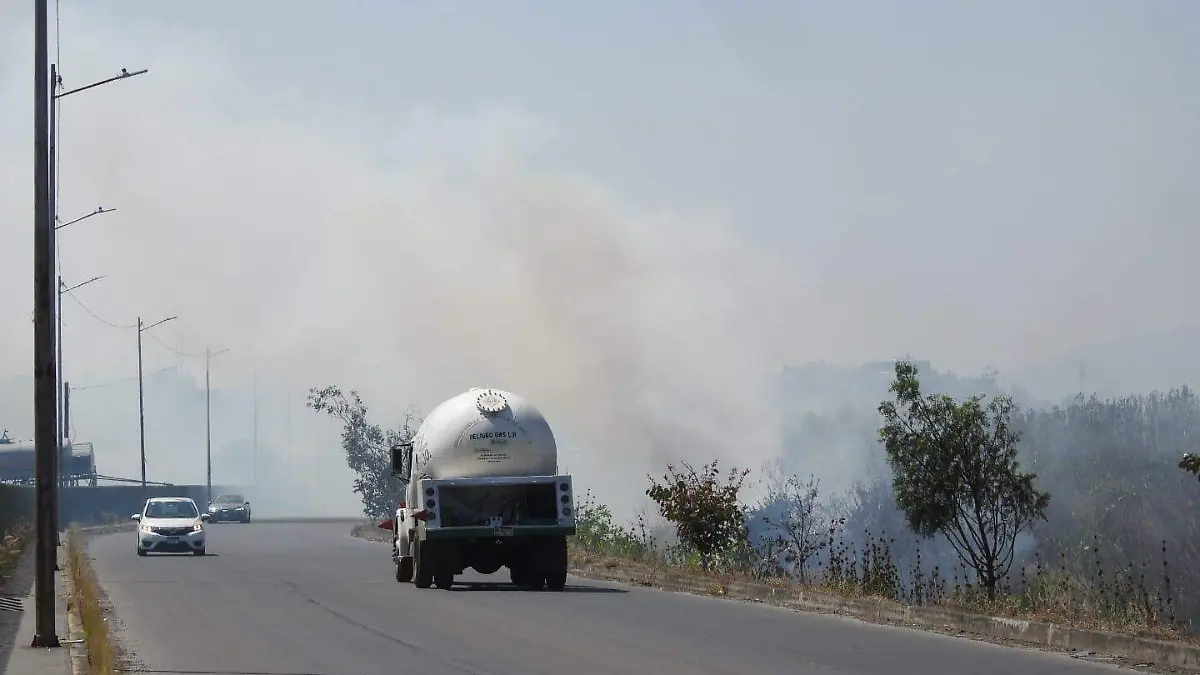 WhatsApp Image 2026-02-26 at 14.46.22