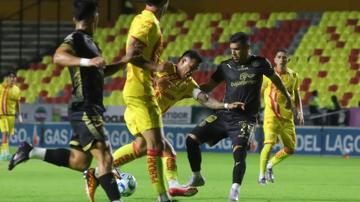 WhatsApp Image 2026-02-28 at 20.50.20