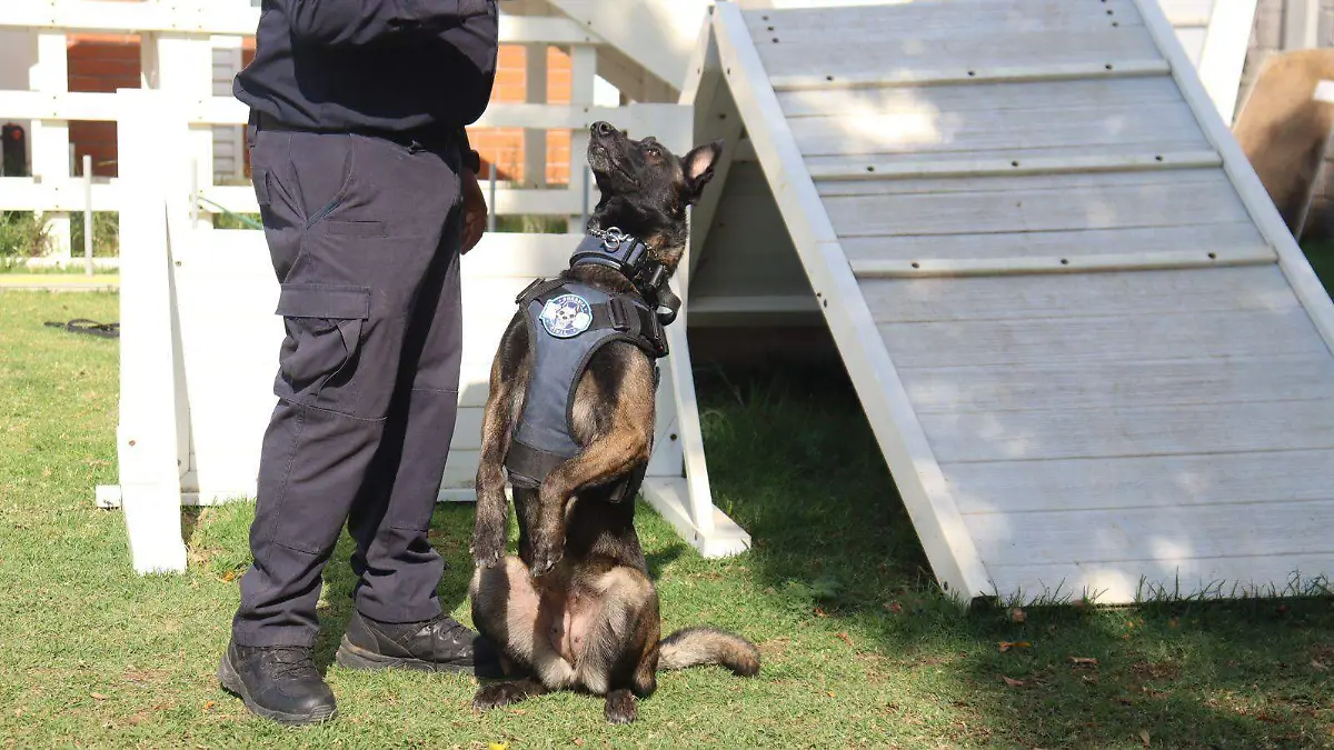 WhatsApp Image 2026-03-03 at 11.06.59