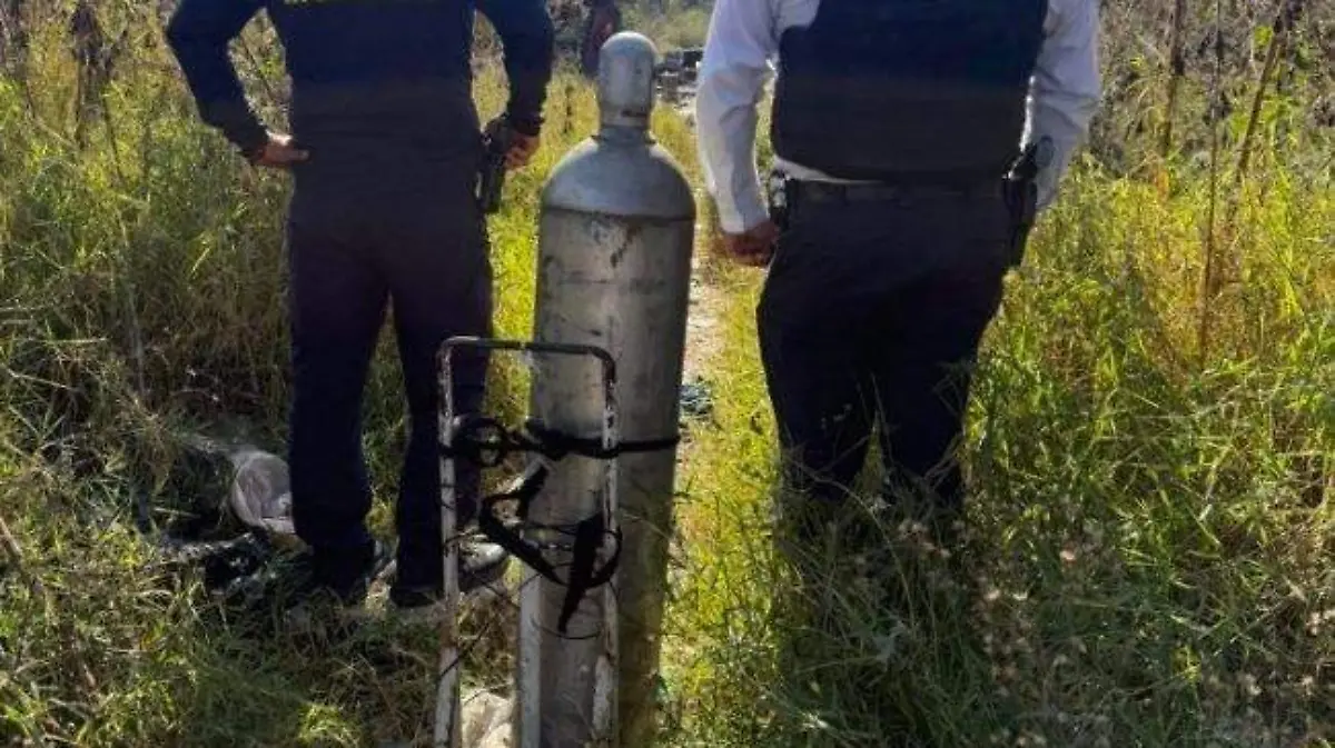 WhatsApp Image 2026-03-03 at 13.48.46