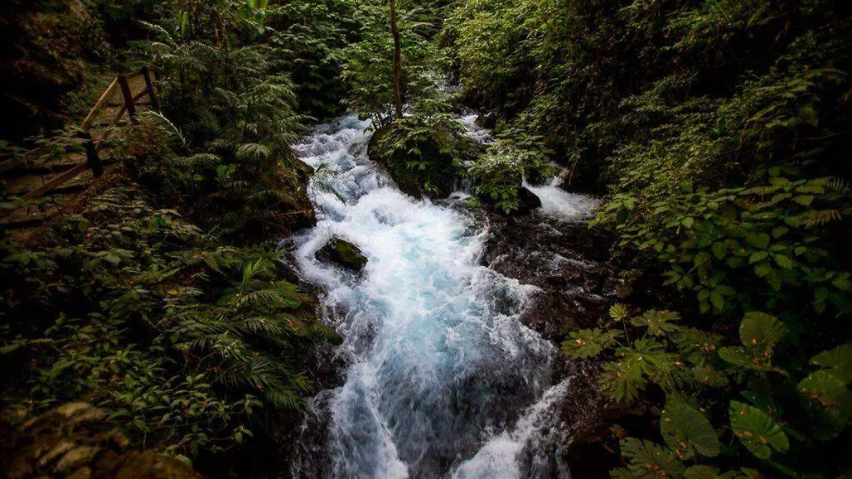 Cascada del Parque NAcional