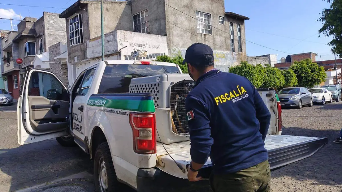 WhatsApp Image 2026-03-09 at 10.12.16