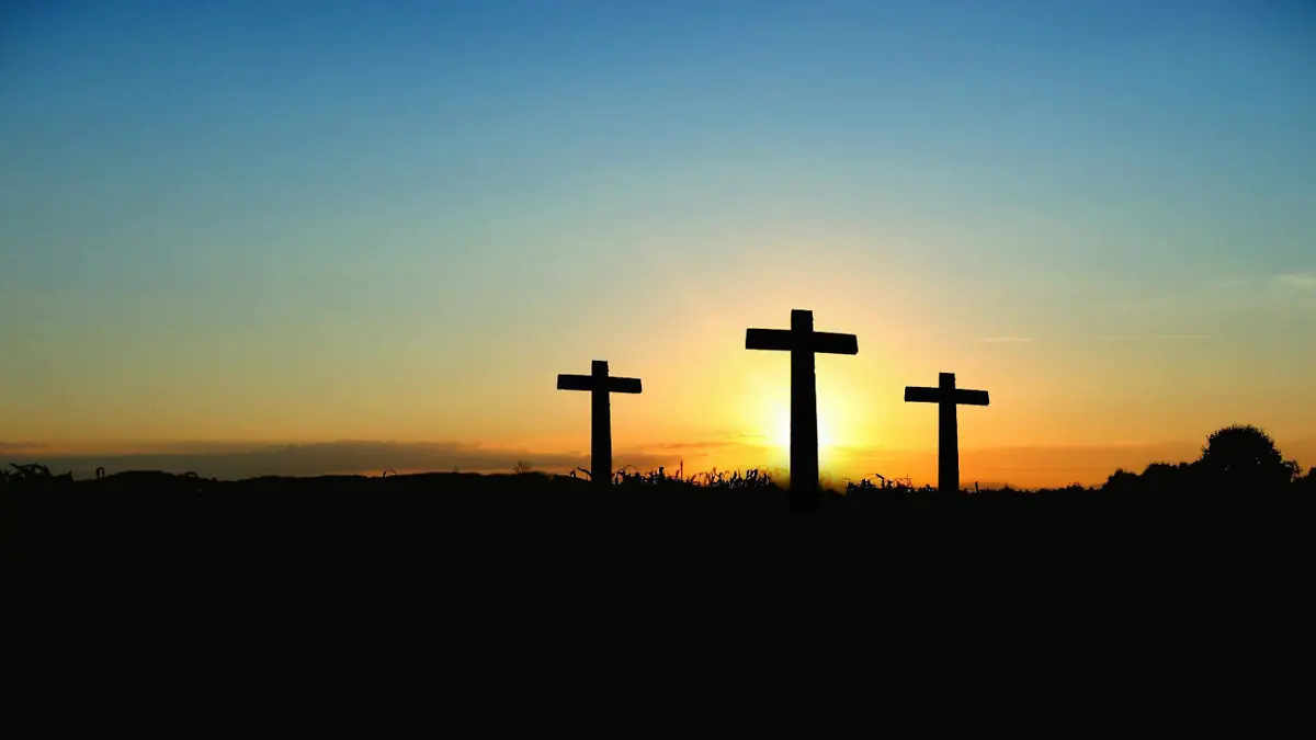 pexels-pixabay-70847