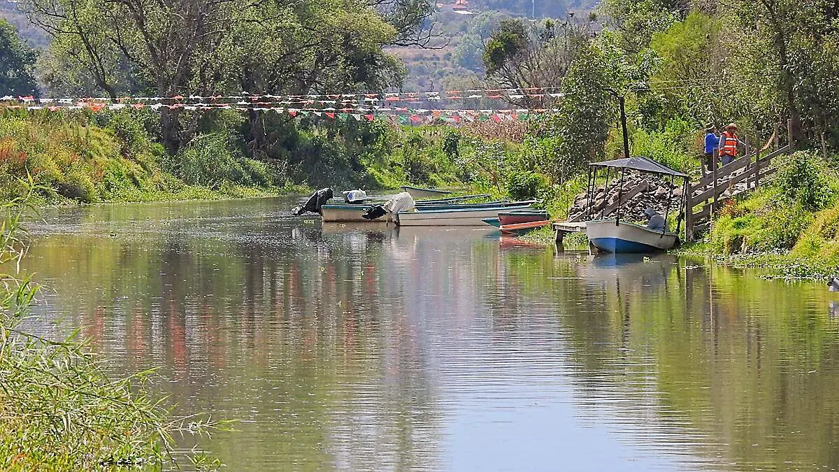 Urandén06 Mar, 2026133126