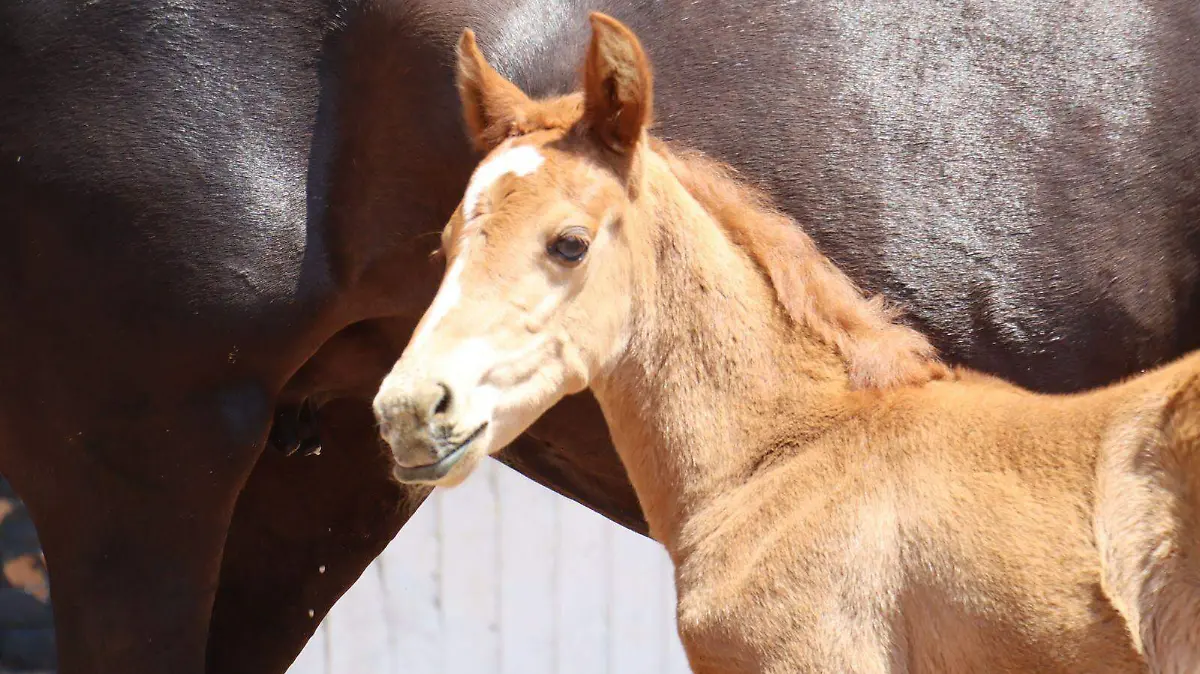 WhatsApp Image 2026-03-13 at 12.51.00 PM