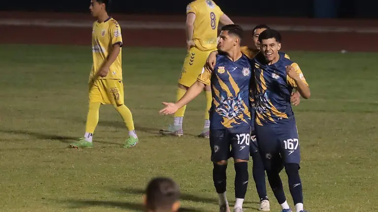 WhatsApp Image 2026-03-13 at 20.14.04