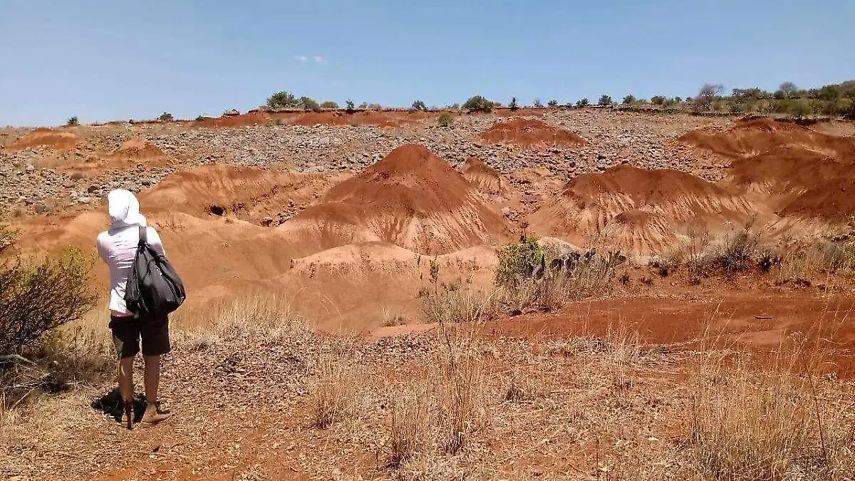 WhatsApp Image 2026-03-14 at 10.12.03 AM