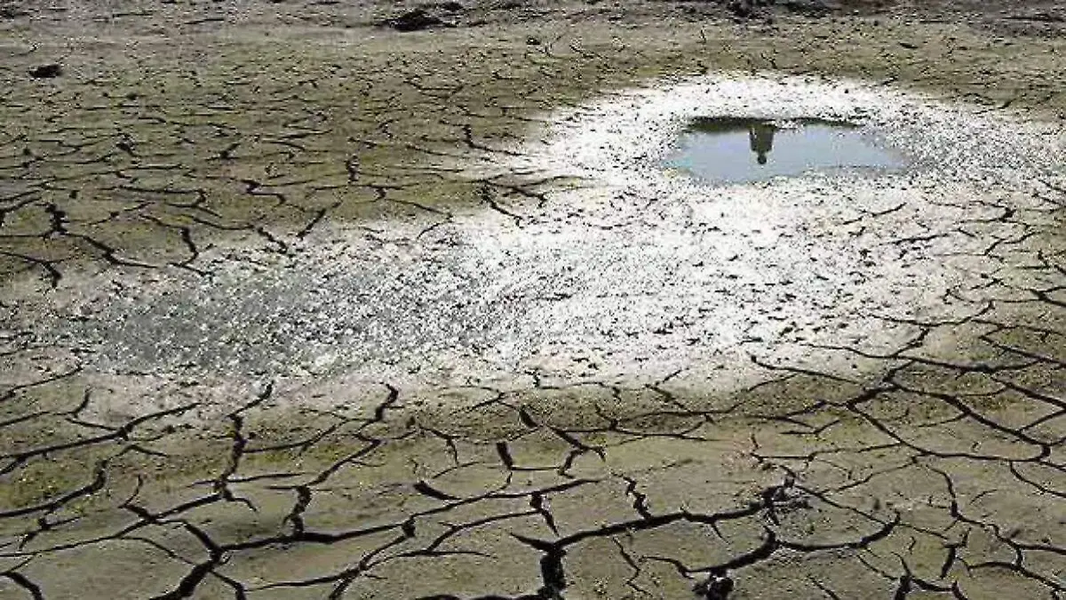 tierra seca