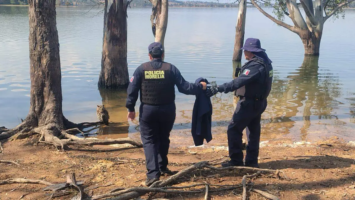 buho policia morelia