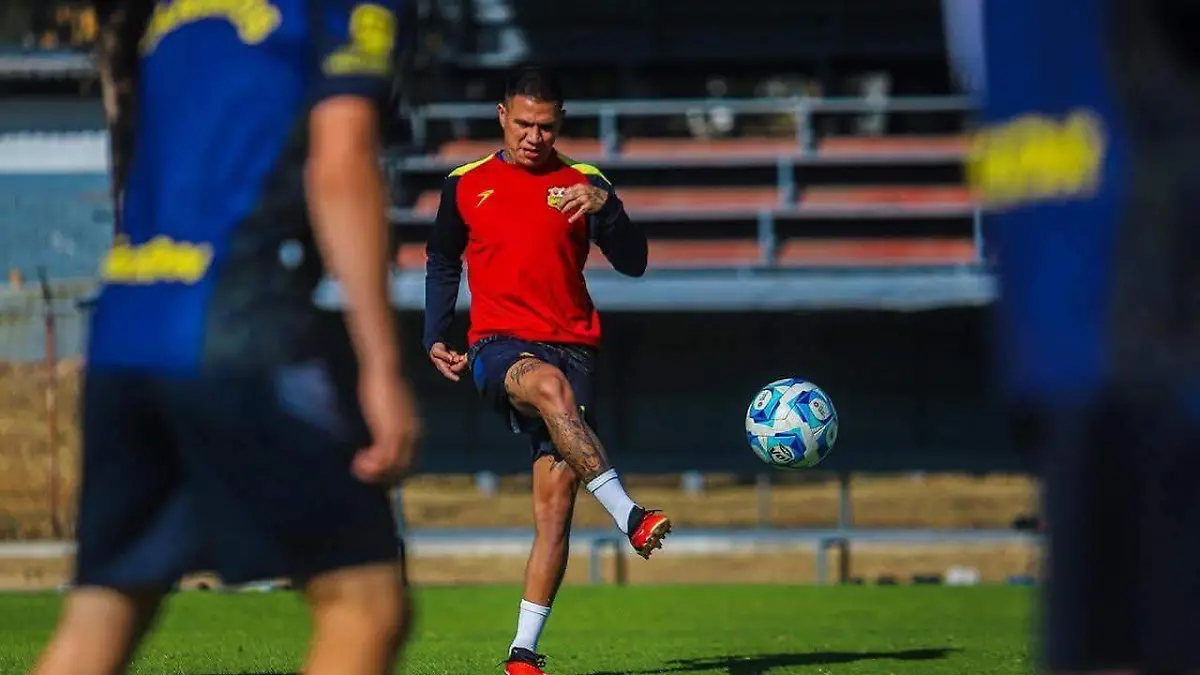 WhatsApp Image 2026-03-14 at 20.27.10