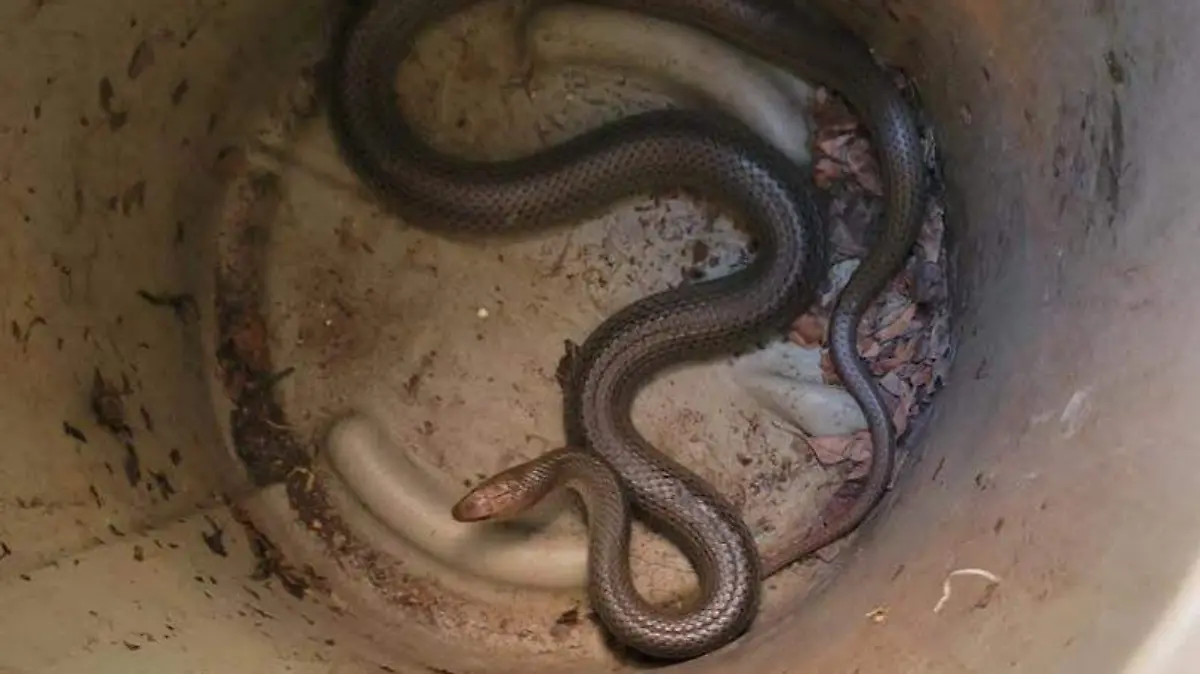 WhatsApp Image 2026-03-17 at 9.52.26 AM