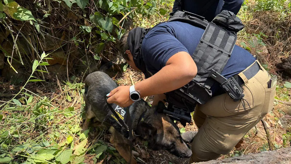busqueda de personas michoacan