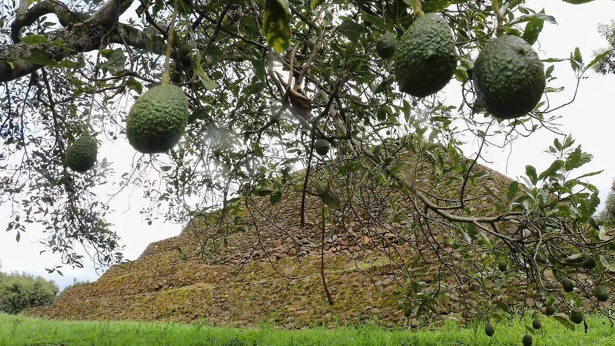 WhatsApp Image 2026-03-21 at 14.43.54