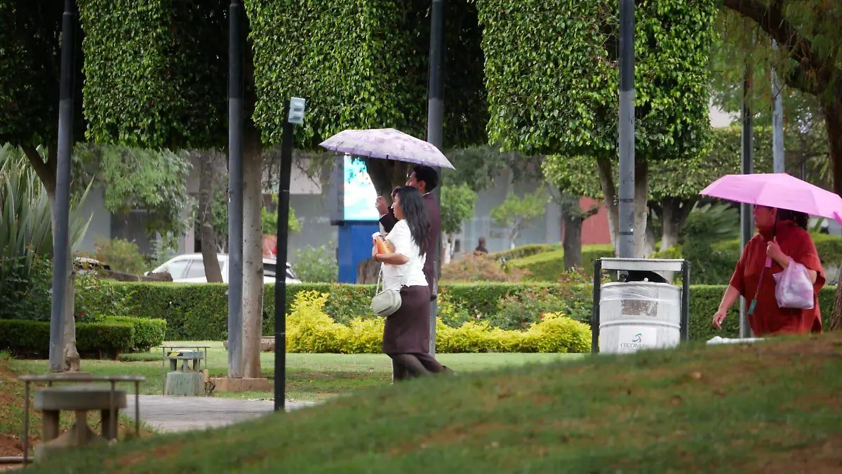 a8cf2eca-a2ae-45ff-9613-1eba7eccbce4