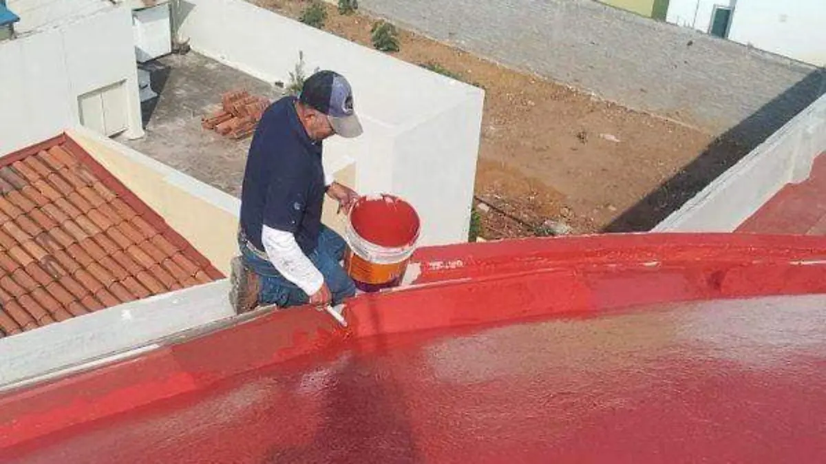 WhatsApp Image 2026-03-23 at 10.07.44