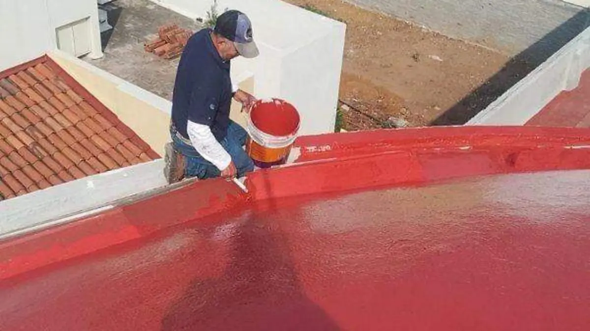 WhatsApp Image 2026-03-23 at 10.07.44