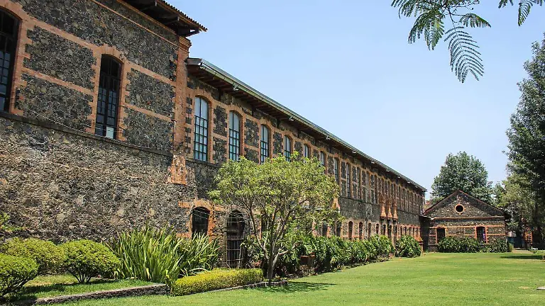 WhatsApp Image 2026-03-24 at 09.28.17